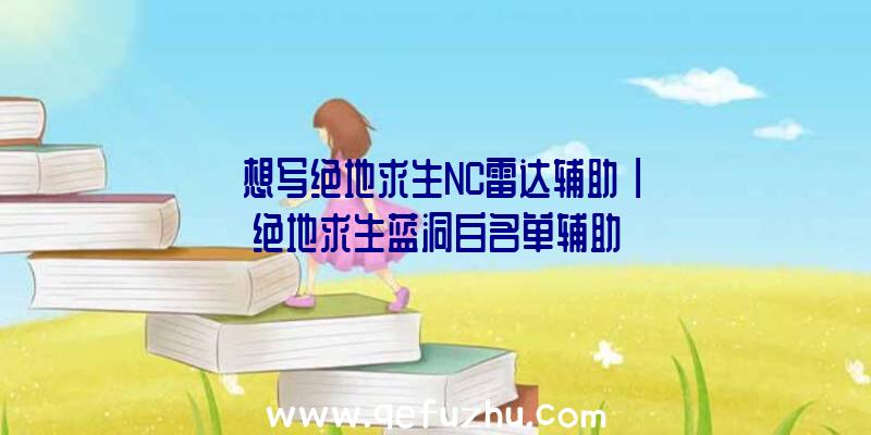 「想写绝地求生NC雷达辅助」|绝地求生蓝洞白名单辅助